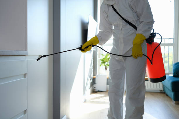 Best Crawl Space Mold Removal  in Ormond By The Sea, FL
